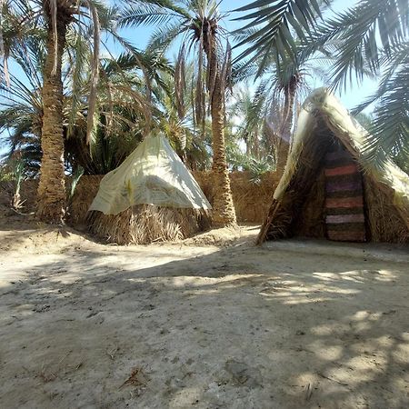 Forest Camp Siwa - كامب الغابة Siwa Oasis Exteriér fotografie