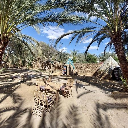 Forest Camp Siwa - كامب الغابة Siwa Oasis Exteriér fotografie