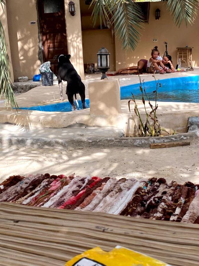 Forest Camp Siwa - كامب الغابة Siwa Oasis Exteriér fotografie