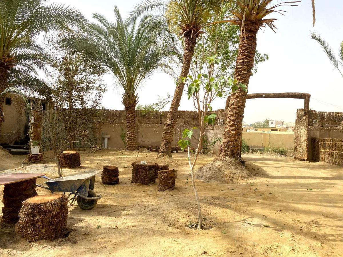 Forest Camp Siwa - كامب الغابة Siwa Oasis Exteriér fotografie