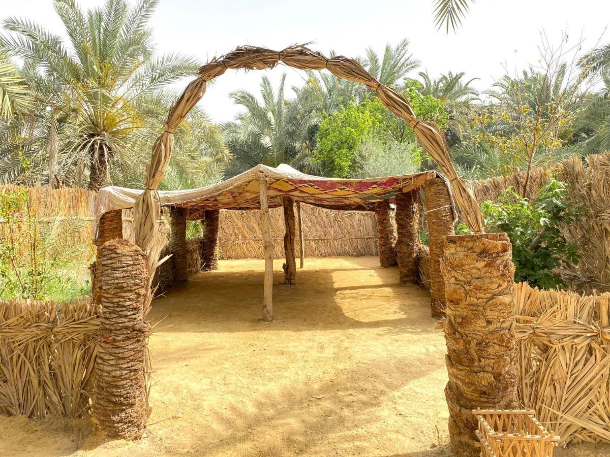 Forest Camp Siwa - كامب الغابة Siwa Oasis Exteriér fotografie