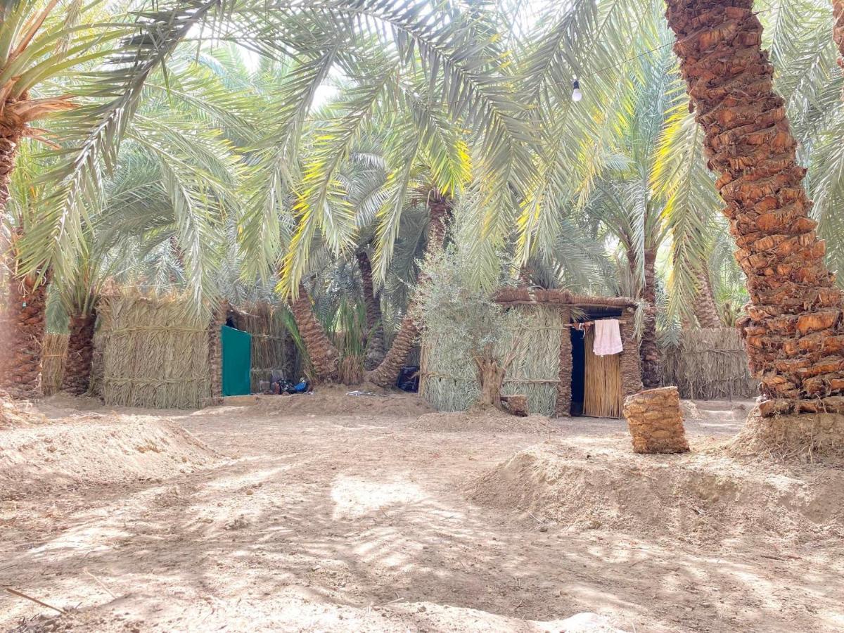 Forest Camp Siwa - كامب الغابة Siwa Oasis Exteriér fotografie