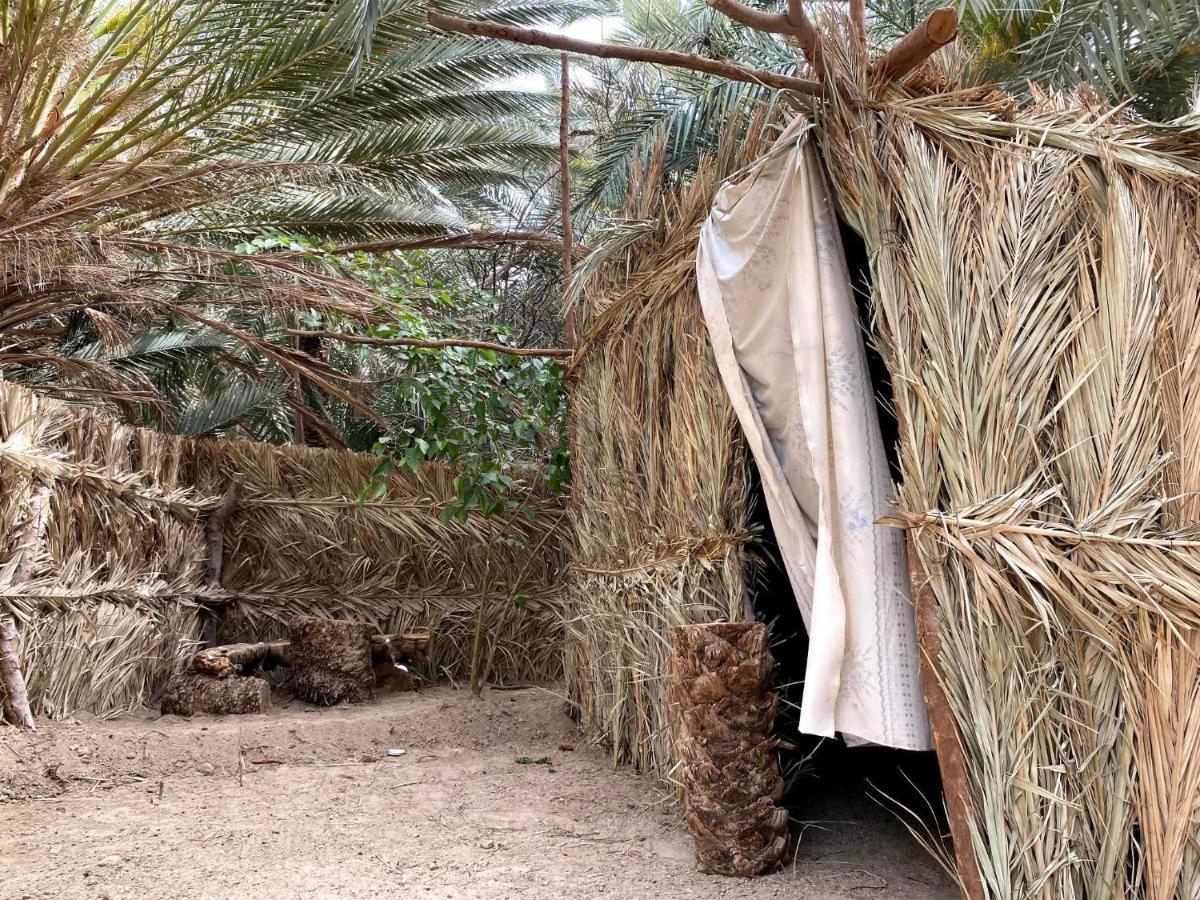 Forest Camp Siwa - كامب الغابة Siwa Oasis Exteriér fotografie