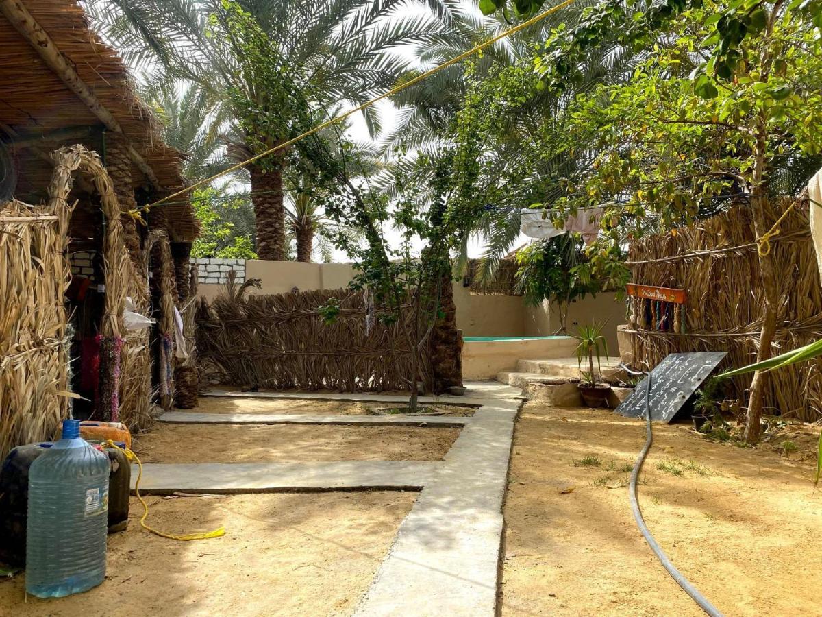 Forest Camp Siwa - كامب الغابة Siwa Oasis Exteriér fotografie