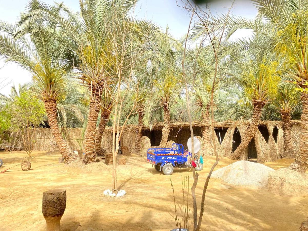 Forest Camp Siwa - كامب الغابة Siwa Oasis Exteriér fotografie