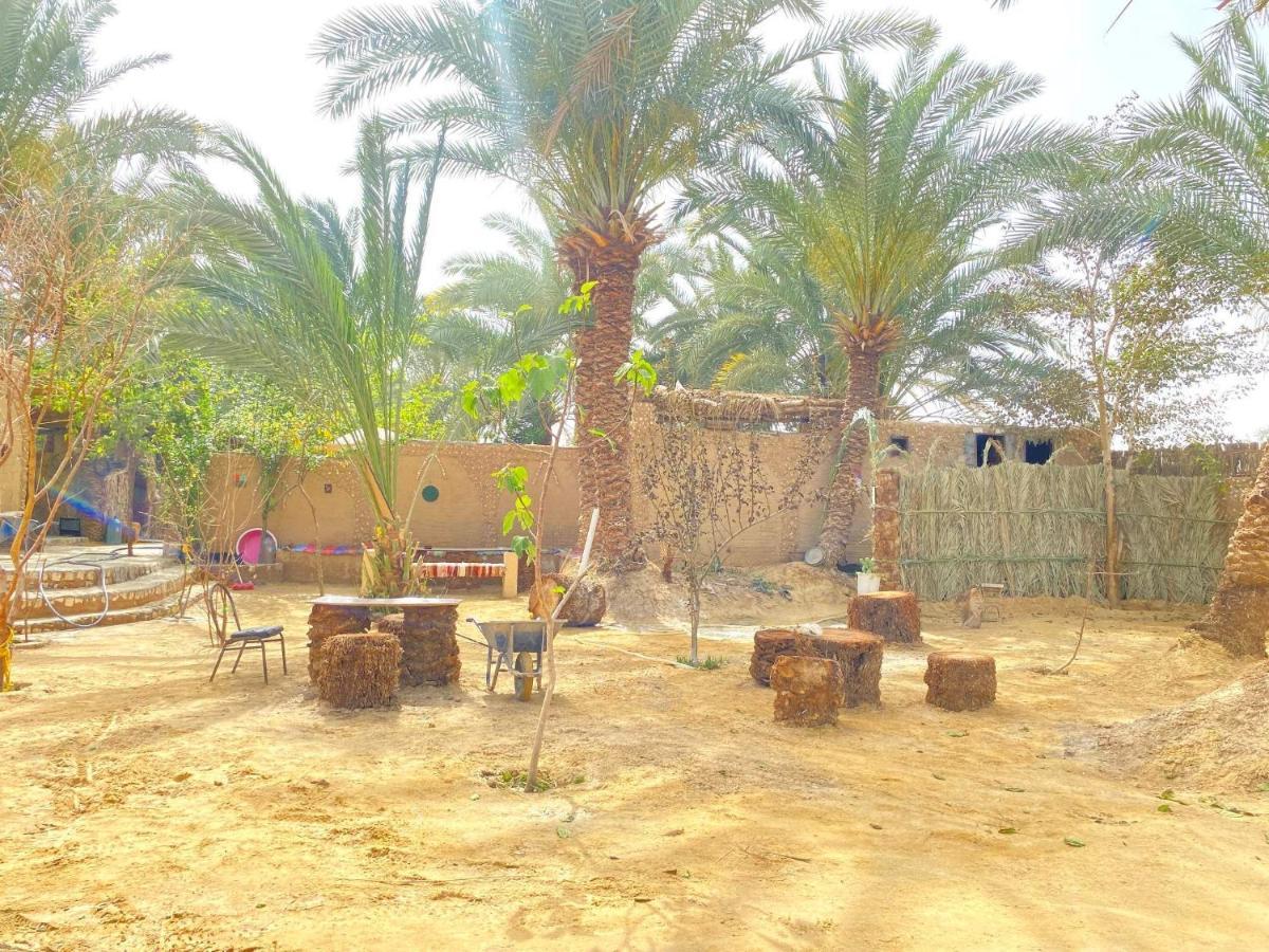 Forest Camp Siwa - كامب الغابة Siwa Oasis Exteriér fotografie