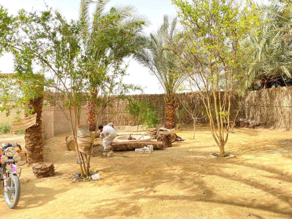 Forest Camp Siwa - كامب الغابة Siwa Oasis Exteriér fotografie