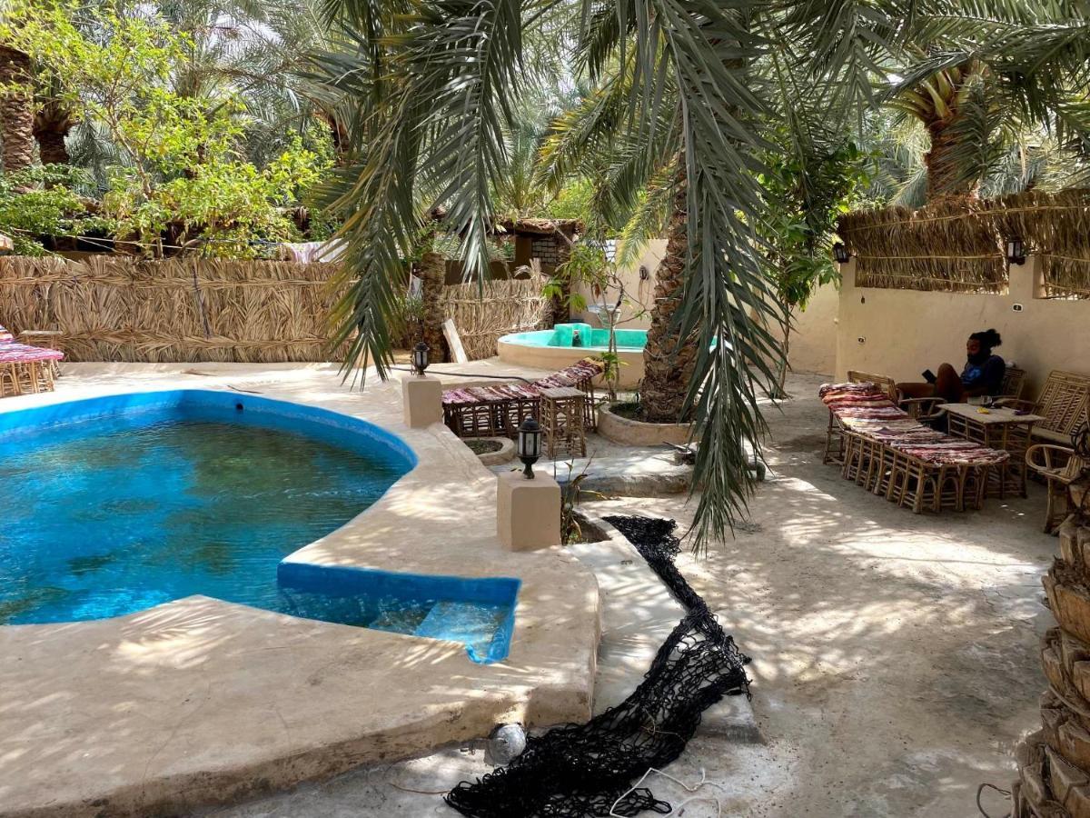 Forest Camp Siwa - كامب الغابة Siwa Oasis Exteriér fotografie