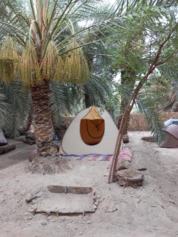 Forest Camp Siwa - كامب الغابة Siwa Oasis Exteriér fotografie