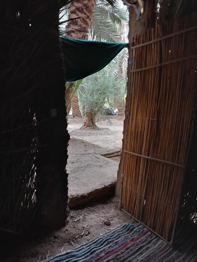 Forest Camp Siwa - كامب الغابة Siwa Oasis Exteriér fotografie