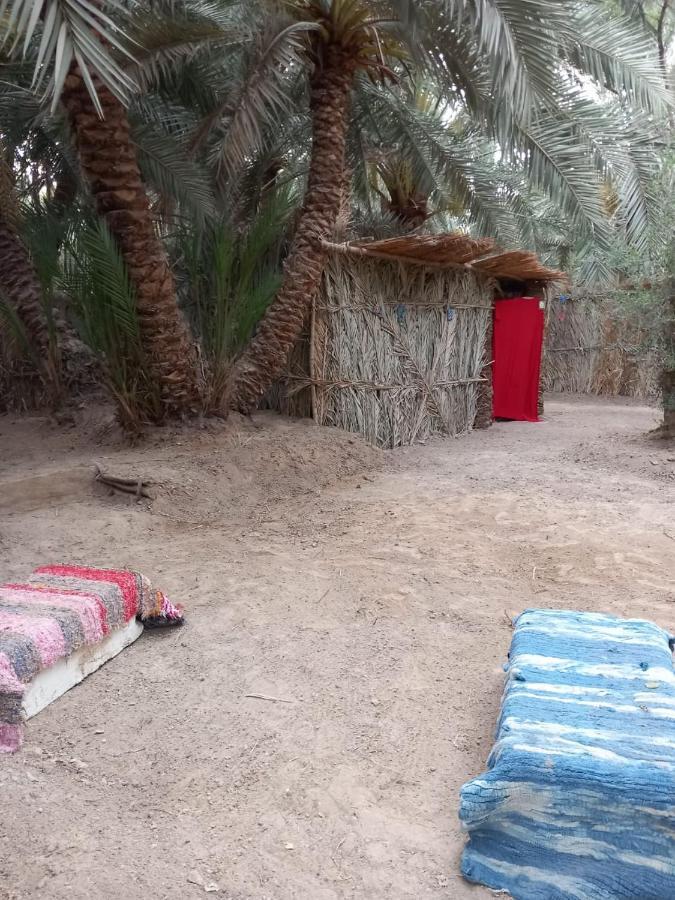 Forest Camp Siwa - كامب الغابة Siwa Oasis Exteriér fotografie