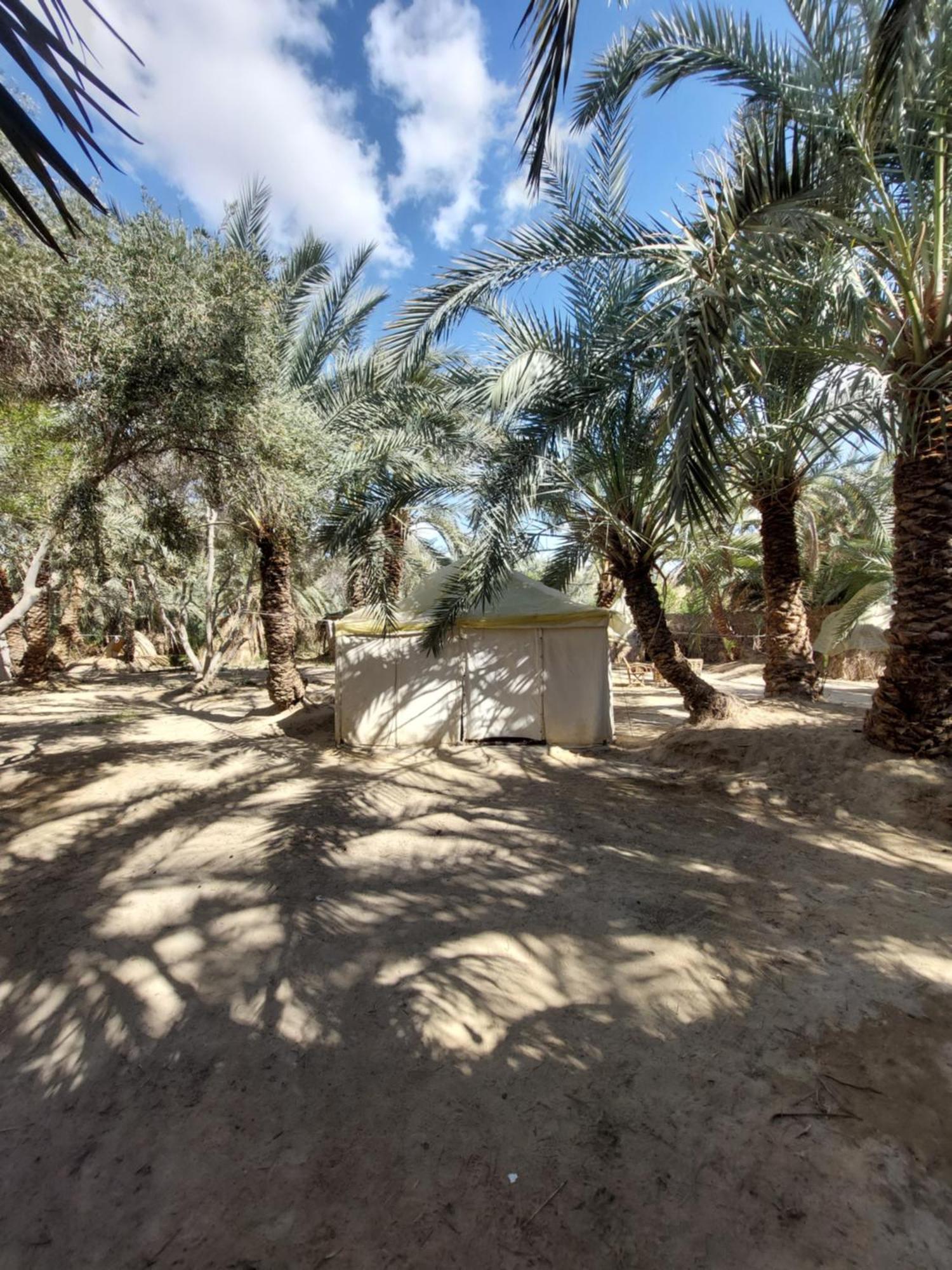 Forest Camp Siwa - كامب الغابة Siwa Oasis Exteriér fotografie