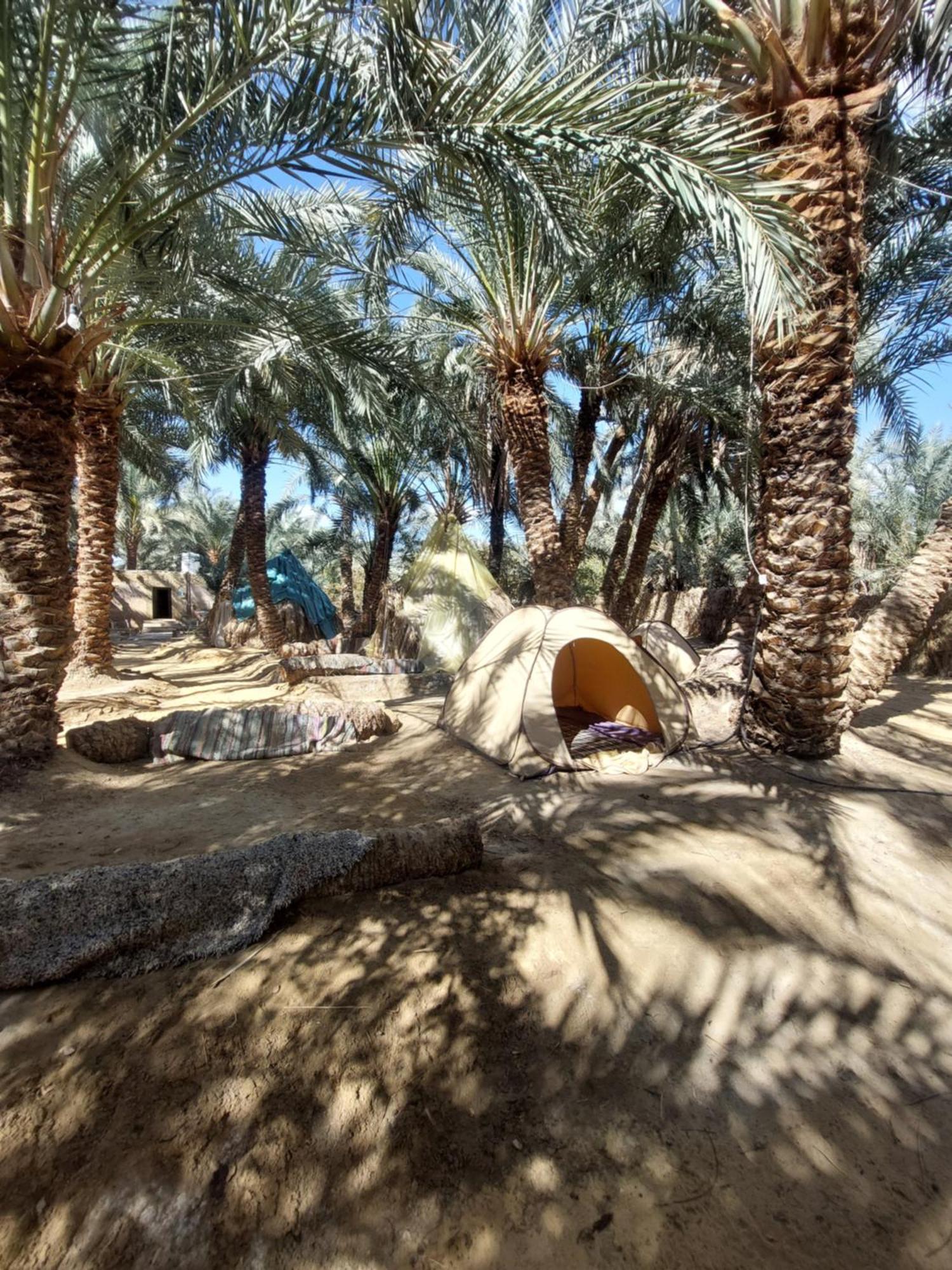 Forest Camp Siwa - كامب الغابة Siwa Oasis Exteriér fotografie
