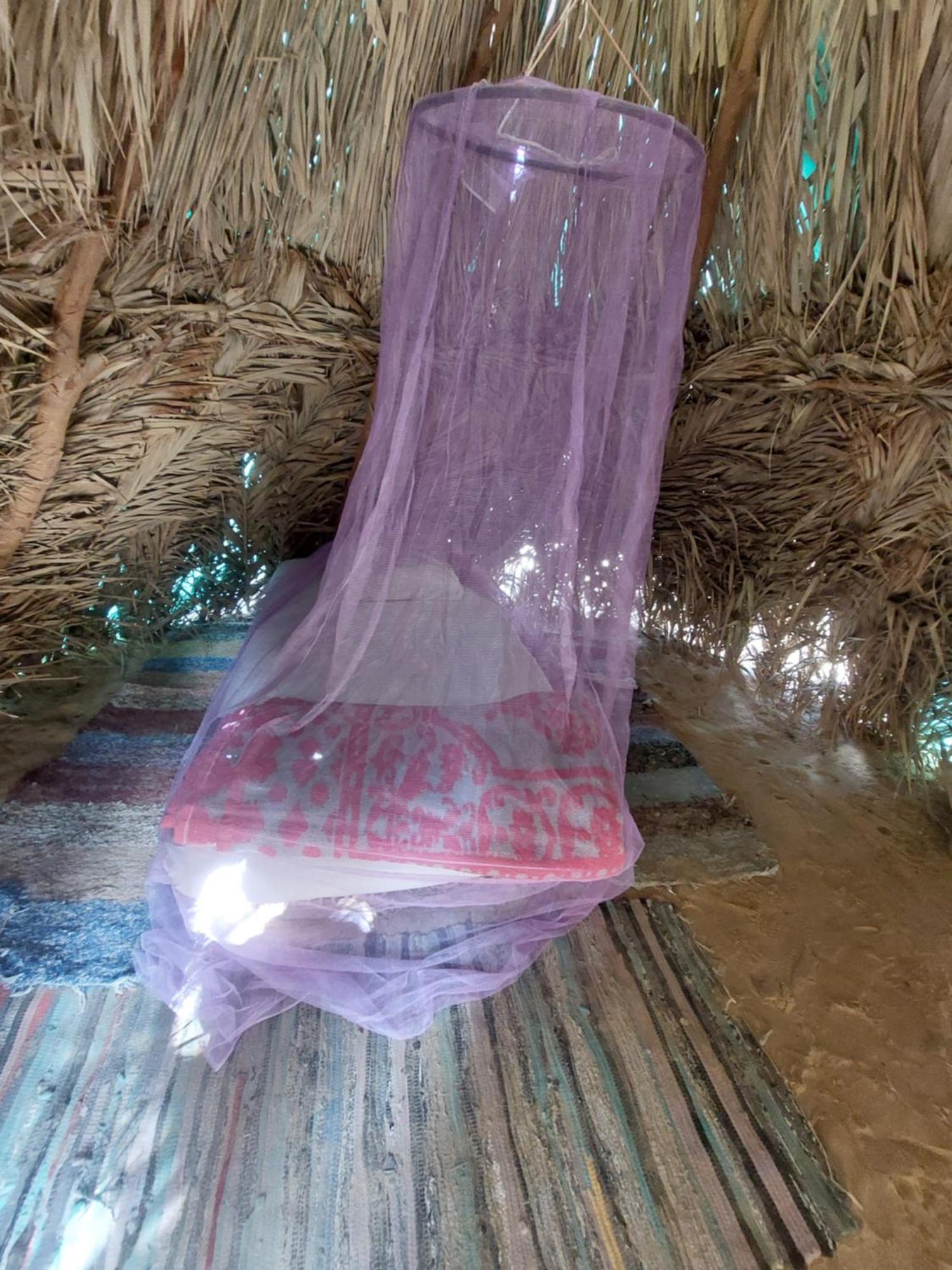 Forest Camp Siwa - كامب الغابة Siwa Oasis Exteriér fotografie