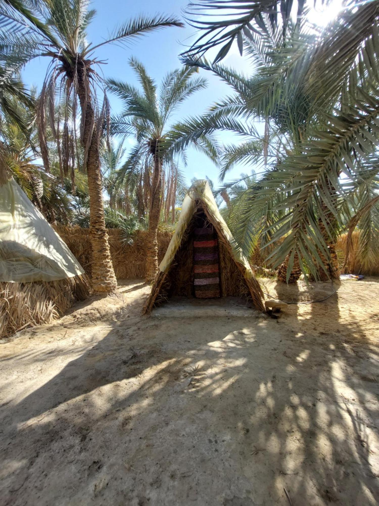 Forest Camp Siwa - كامب الغابة Siwa Oasis Exteriér fotografie
