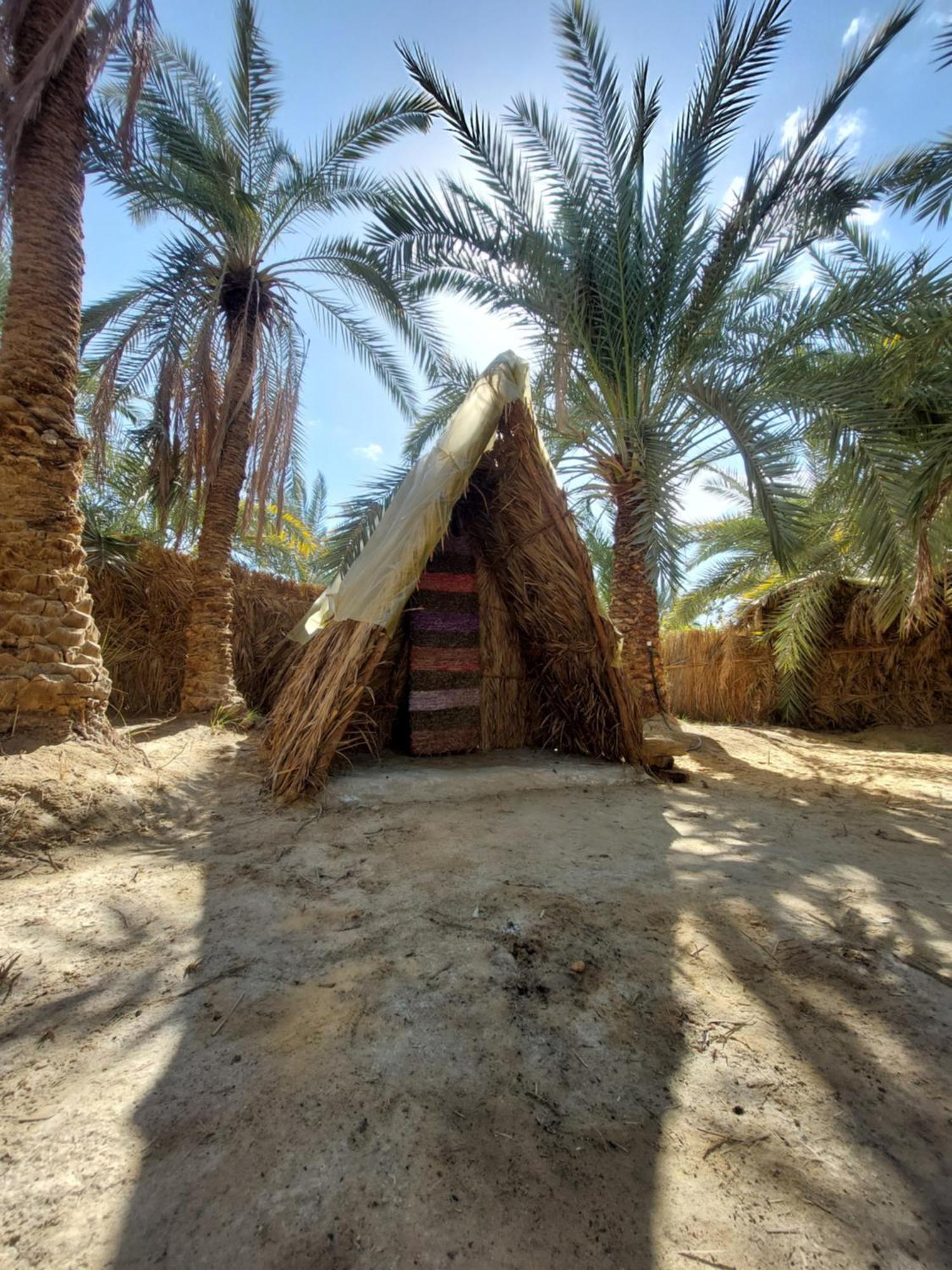 Forest Camp Siwa - كامب الغابة Siwa Oasis Exteriér fotografie