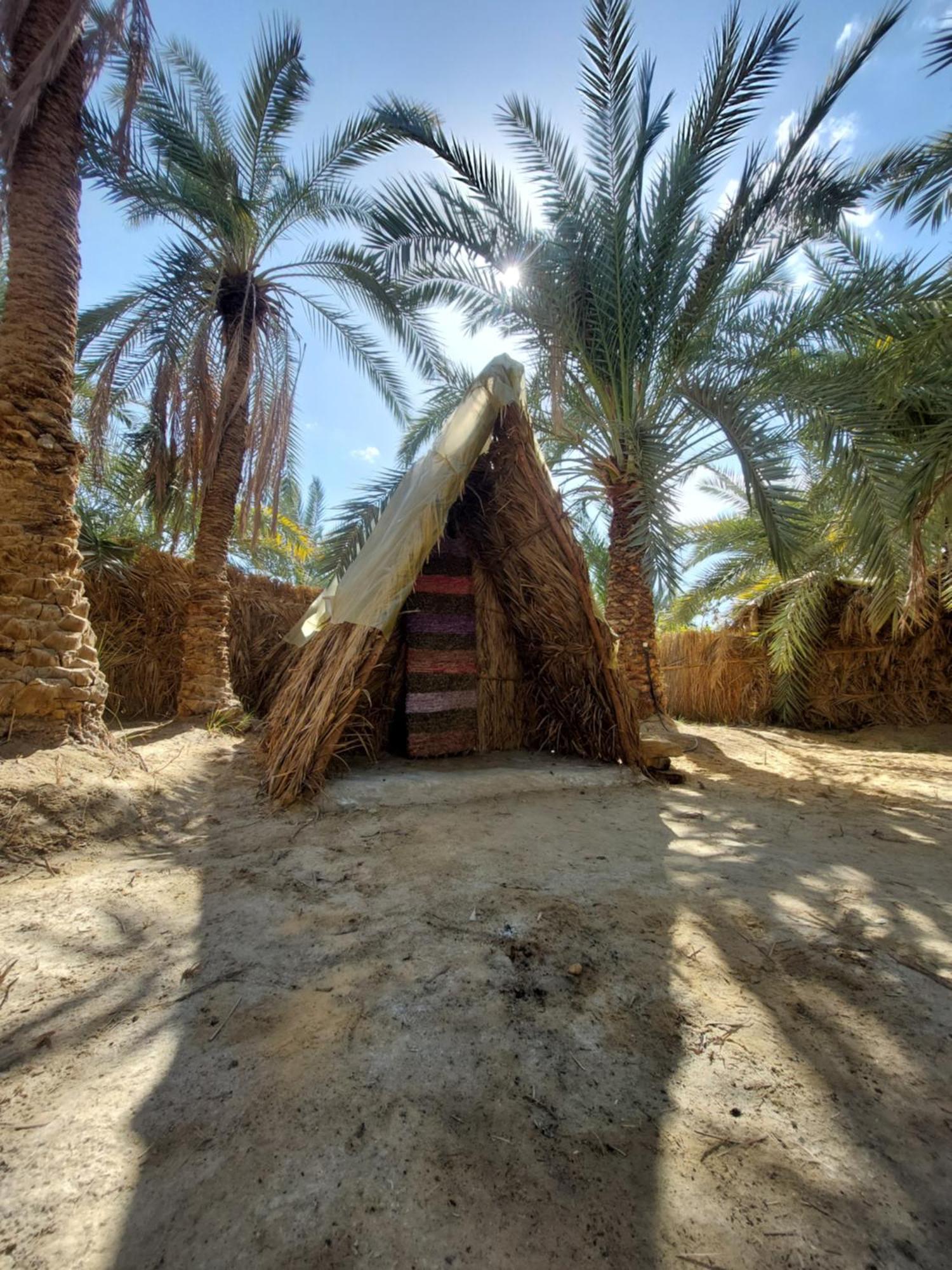 Forest Camp Siwa - كامب الغابة Siwa Oasis Exteriér fotografie