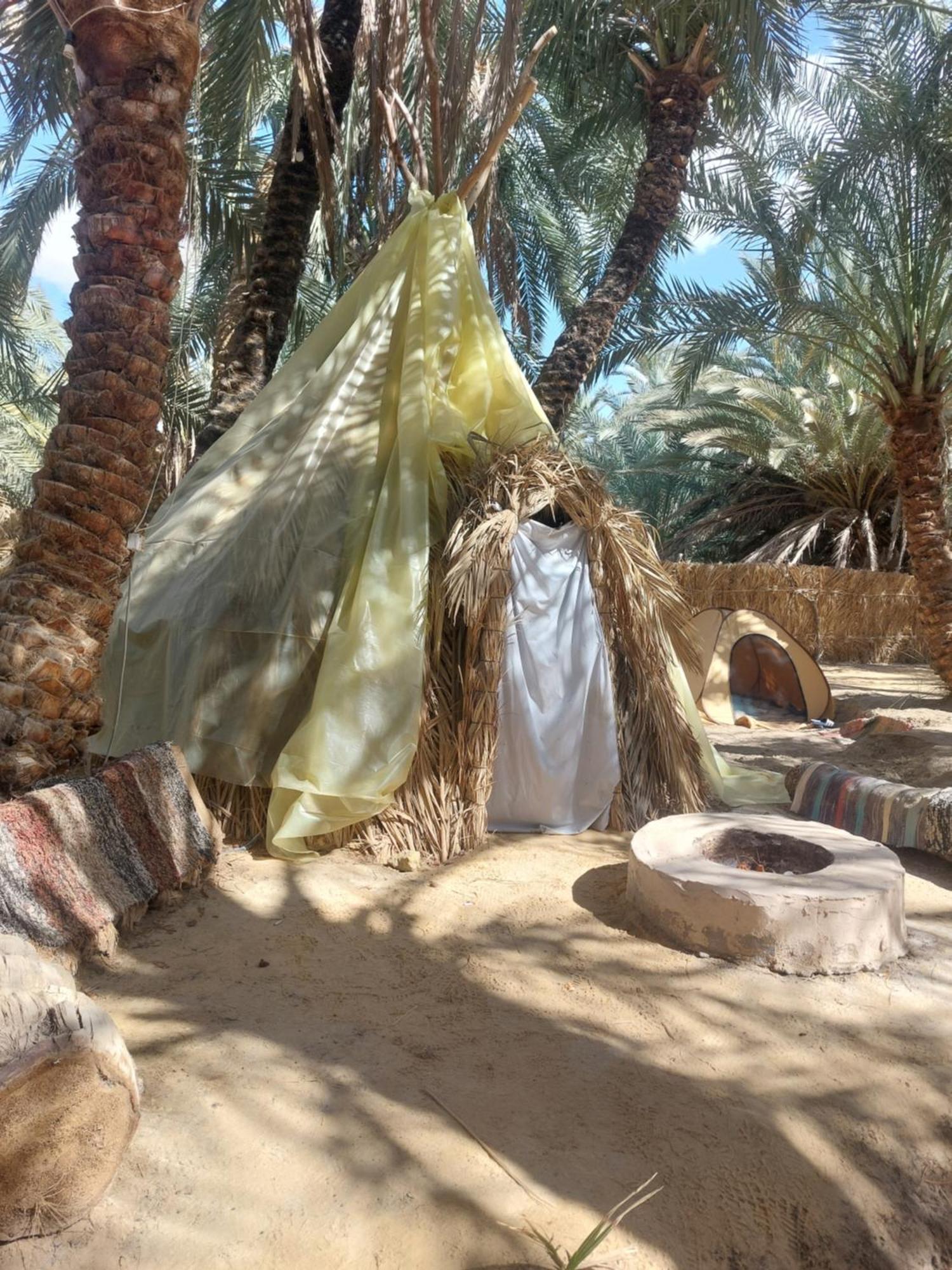 Forest Camp Siwa - كامب الغابة Siwa Oasis Exteriér fotografie