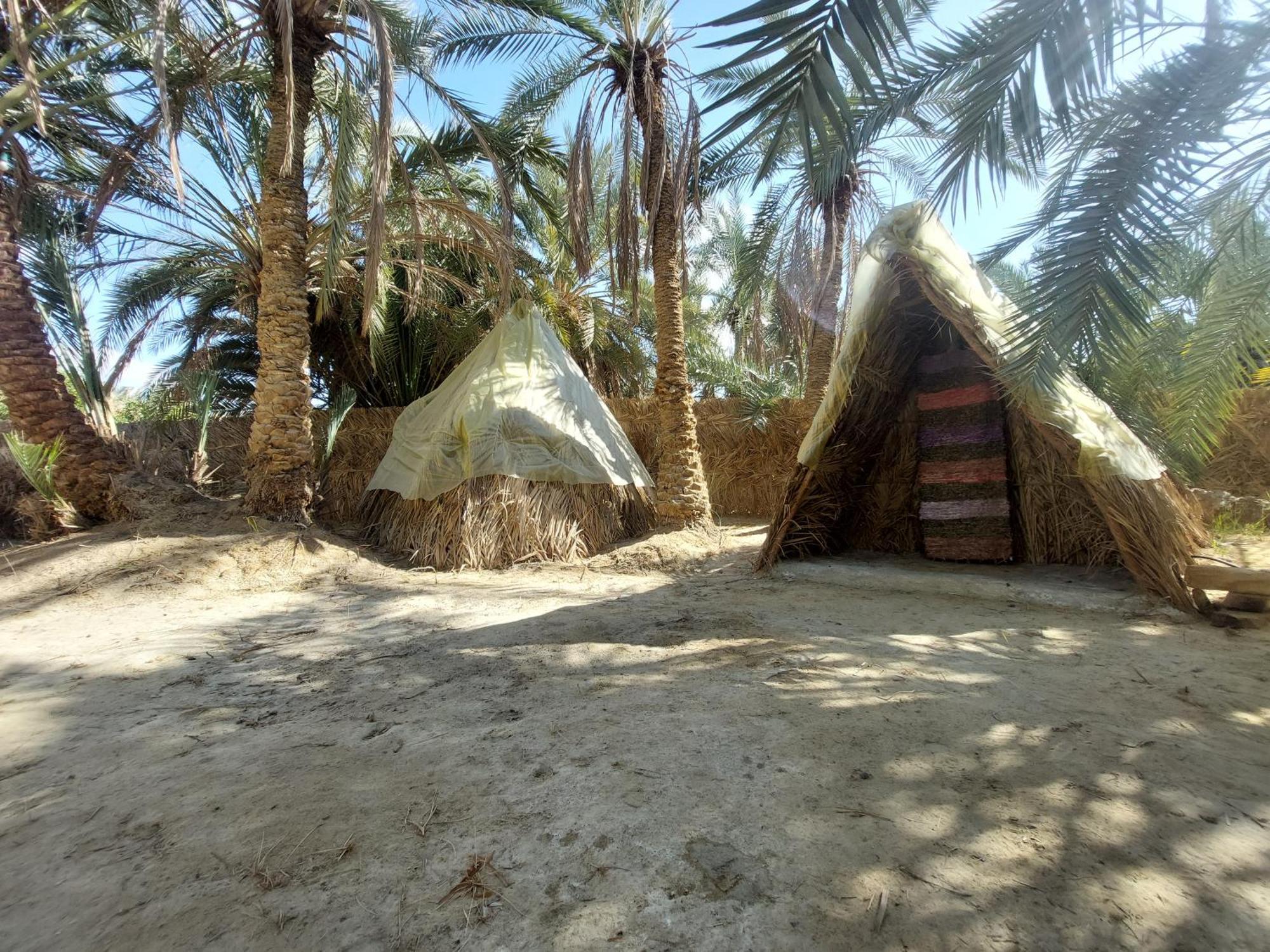 Forest Camp Siwa - كامب الغابة Siwa Oasis Exteriér fotografie