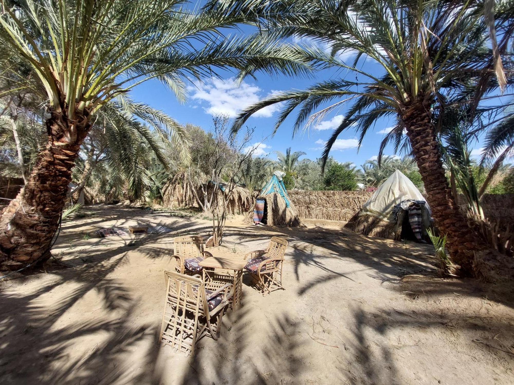 Forest Camp Siwa - كامب الغابة Siwa Oasis Exteriér fotografie