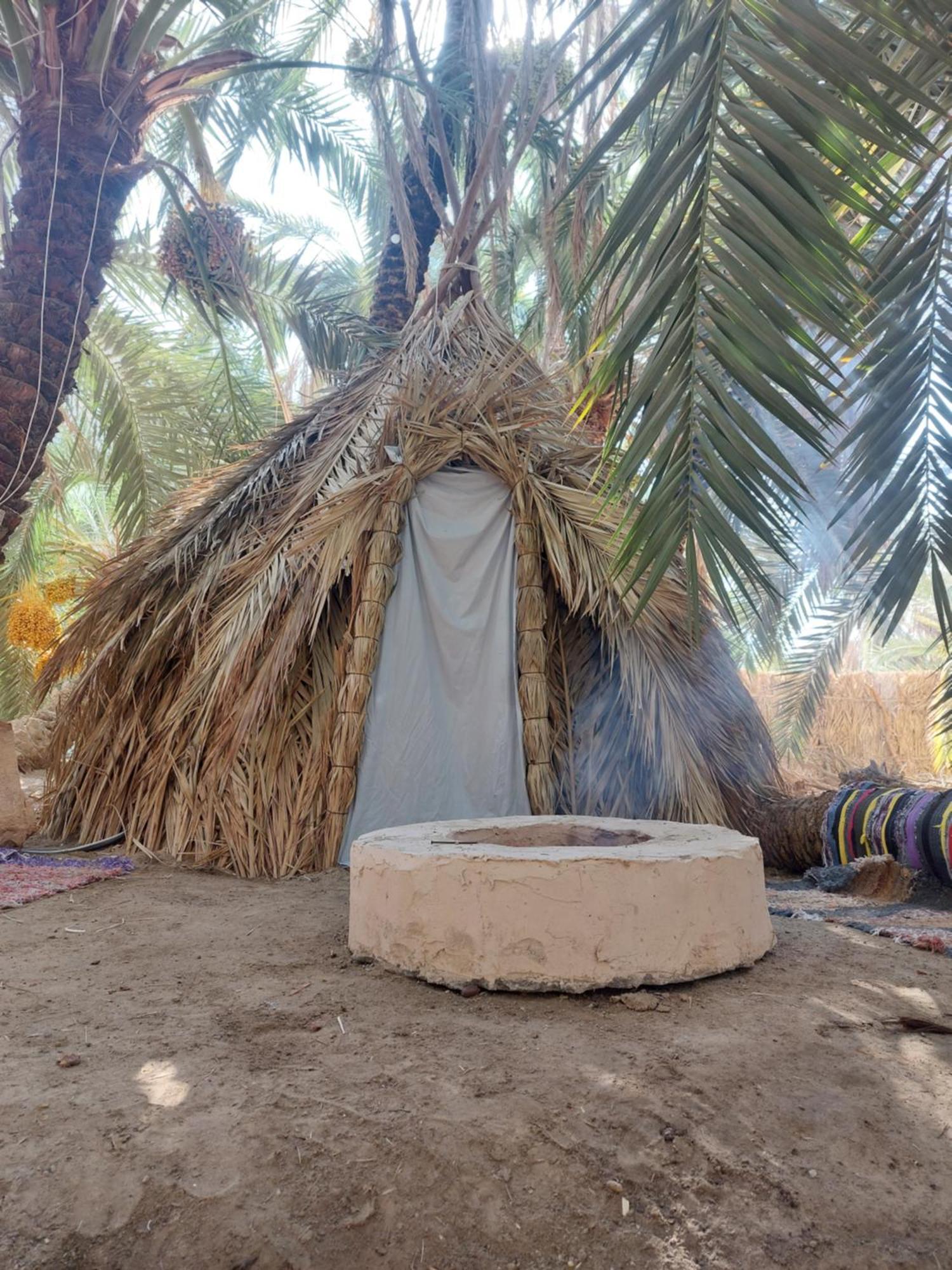 Forest Camp Siwa - كامب الغابة Siwa Oasis Exteriér fotografie