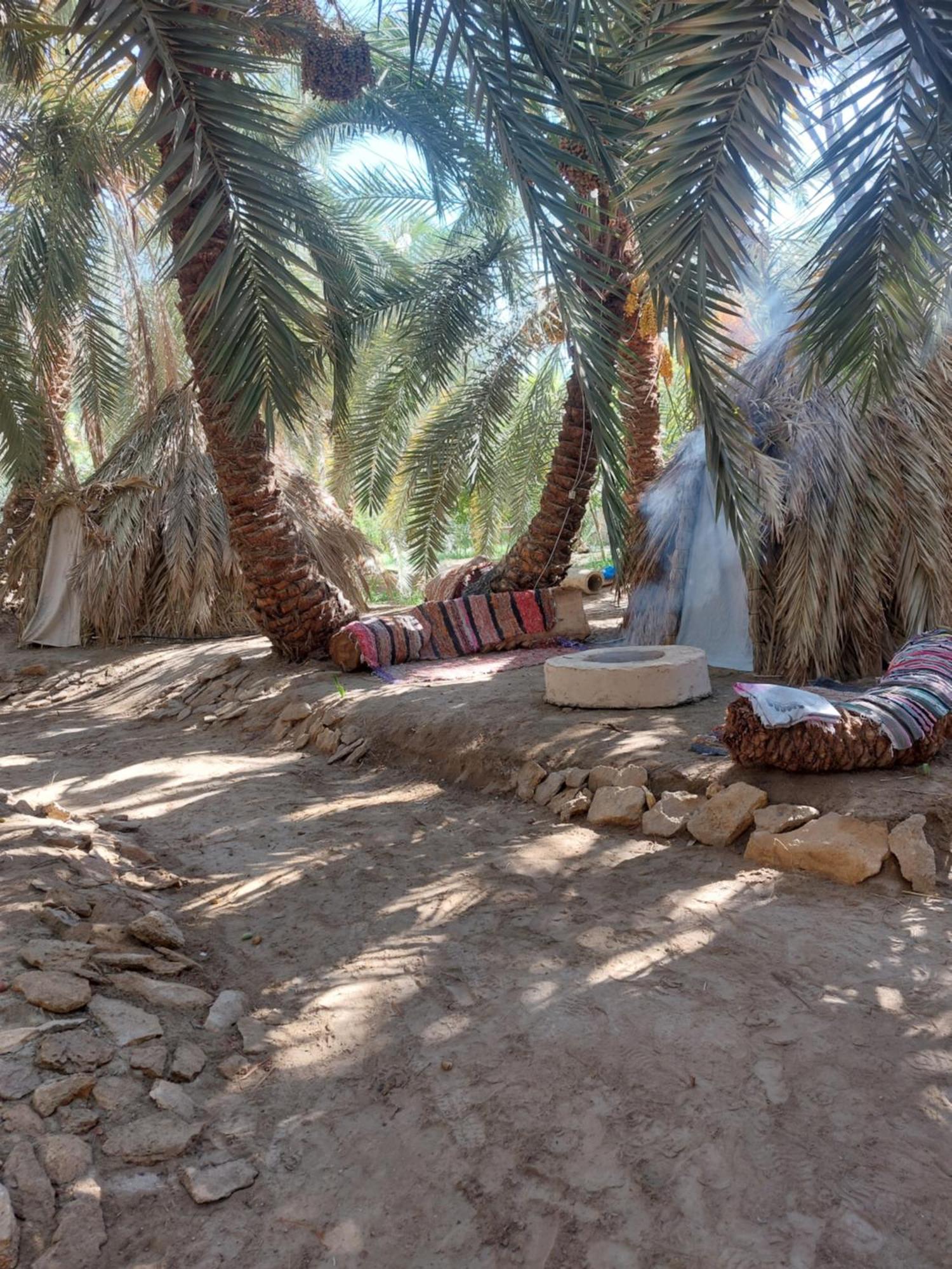 Forest Camp Siwa - كامب الغابة Siwa Oasis Exteriér fotografie