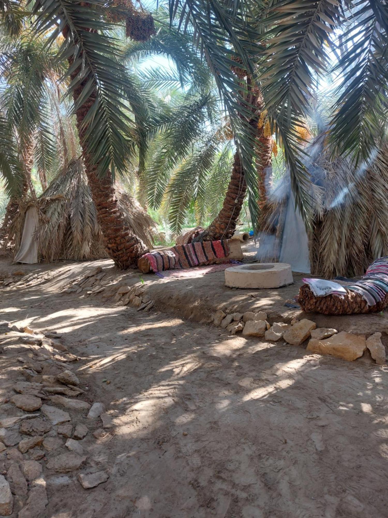Forest Camp Siwa - كامب الغابة Siwa Oasis Exteriér fotografie
