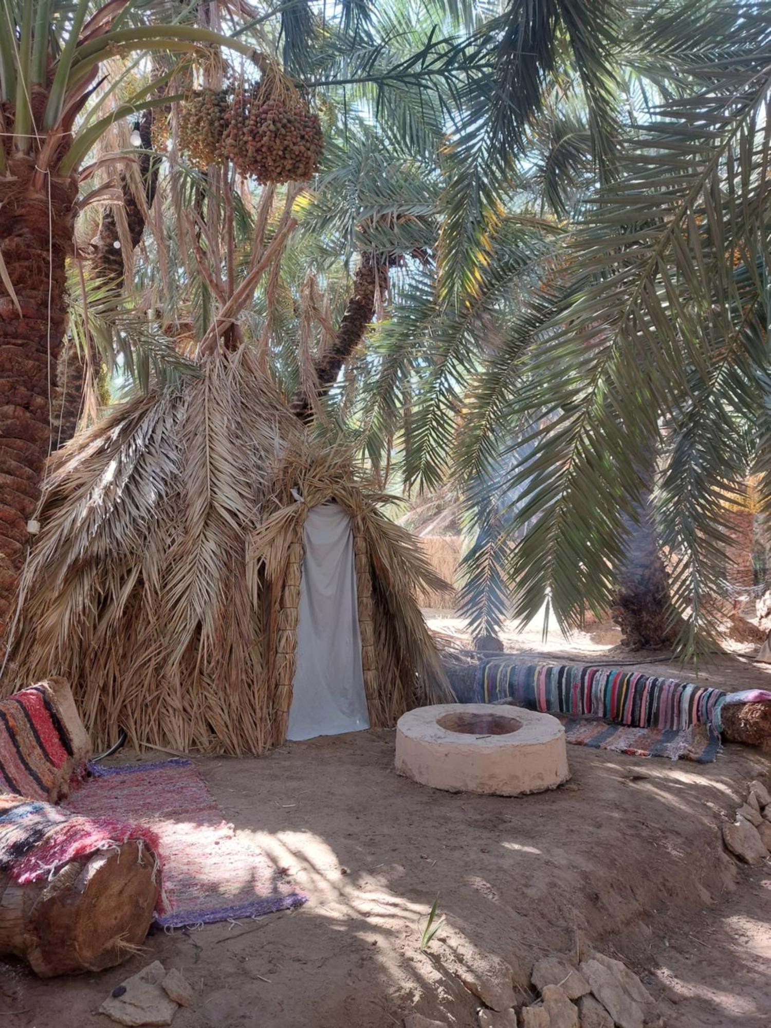 Forest Camp Siwa - كامب الغابة Siwa Oasis Exteriér fotografie