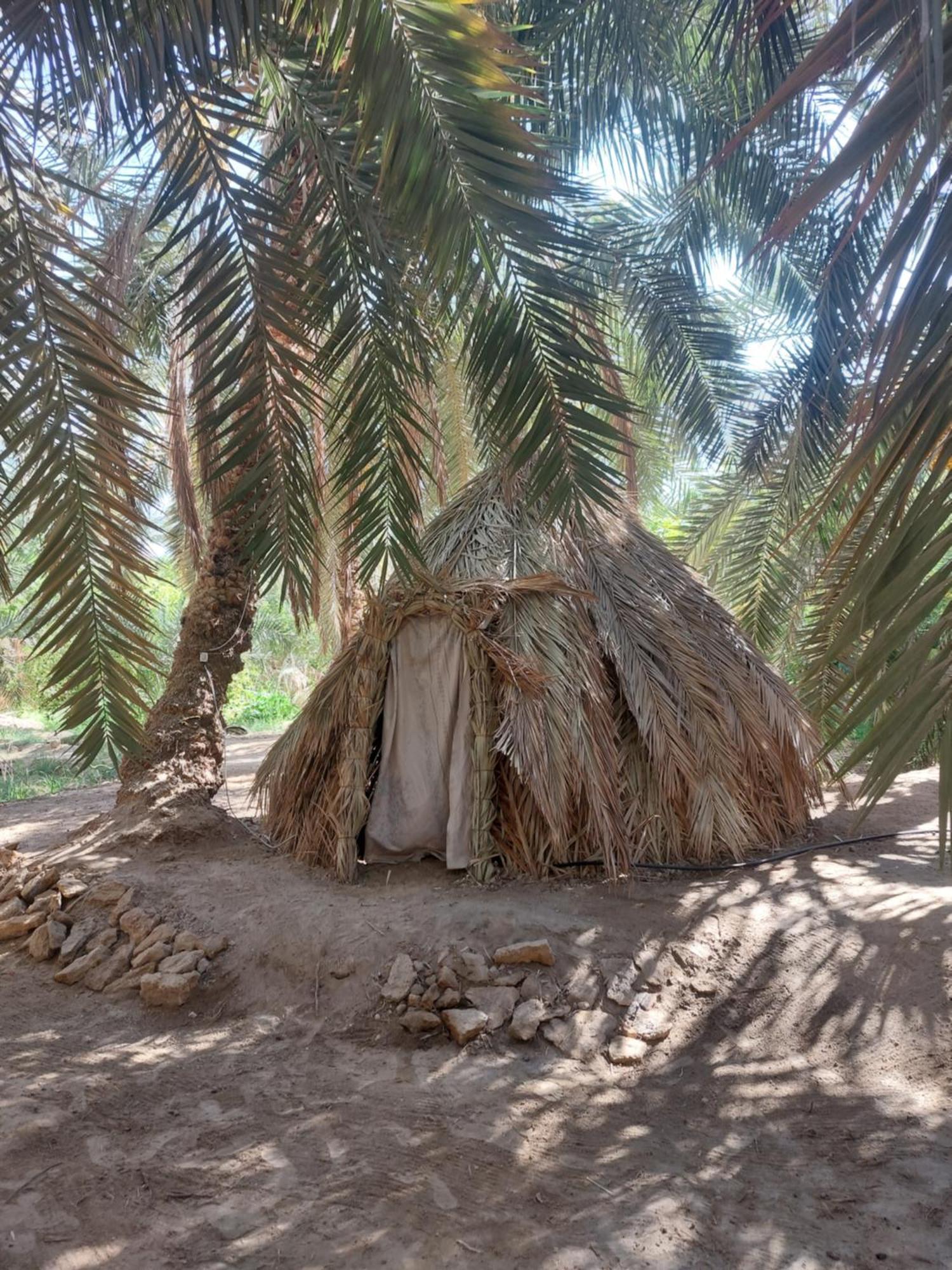 Forest Camp Siwa - كامب الغابة Siwa Oasis Exteriér fotografie