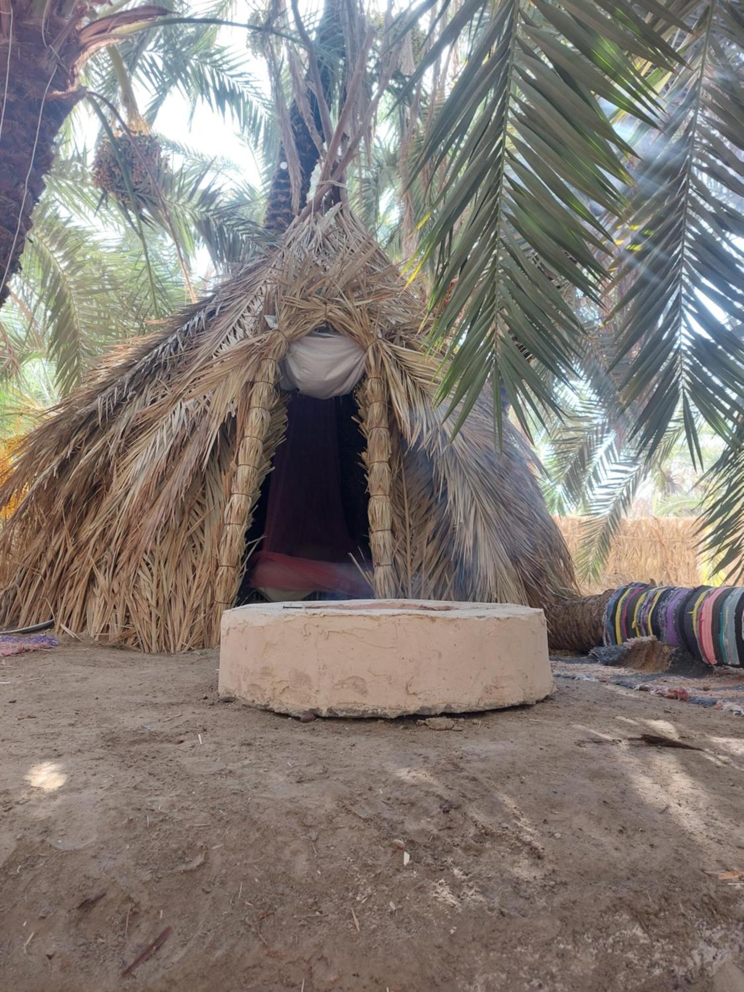 Forest Camp Siwa - كامب الغابة Siwa Oasis Exteriér fotografie