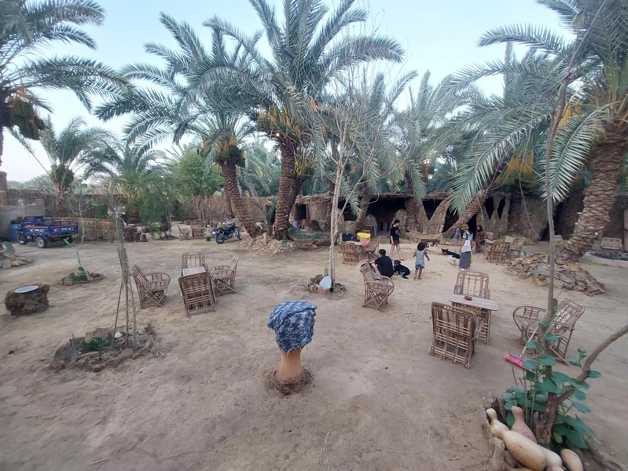 Forest Camp Siwa - كامب الغابة Siwa Oasis Exteriér fotografie