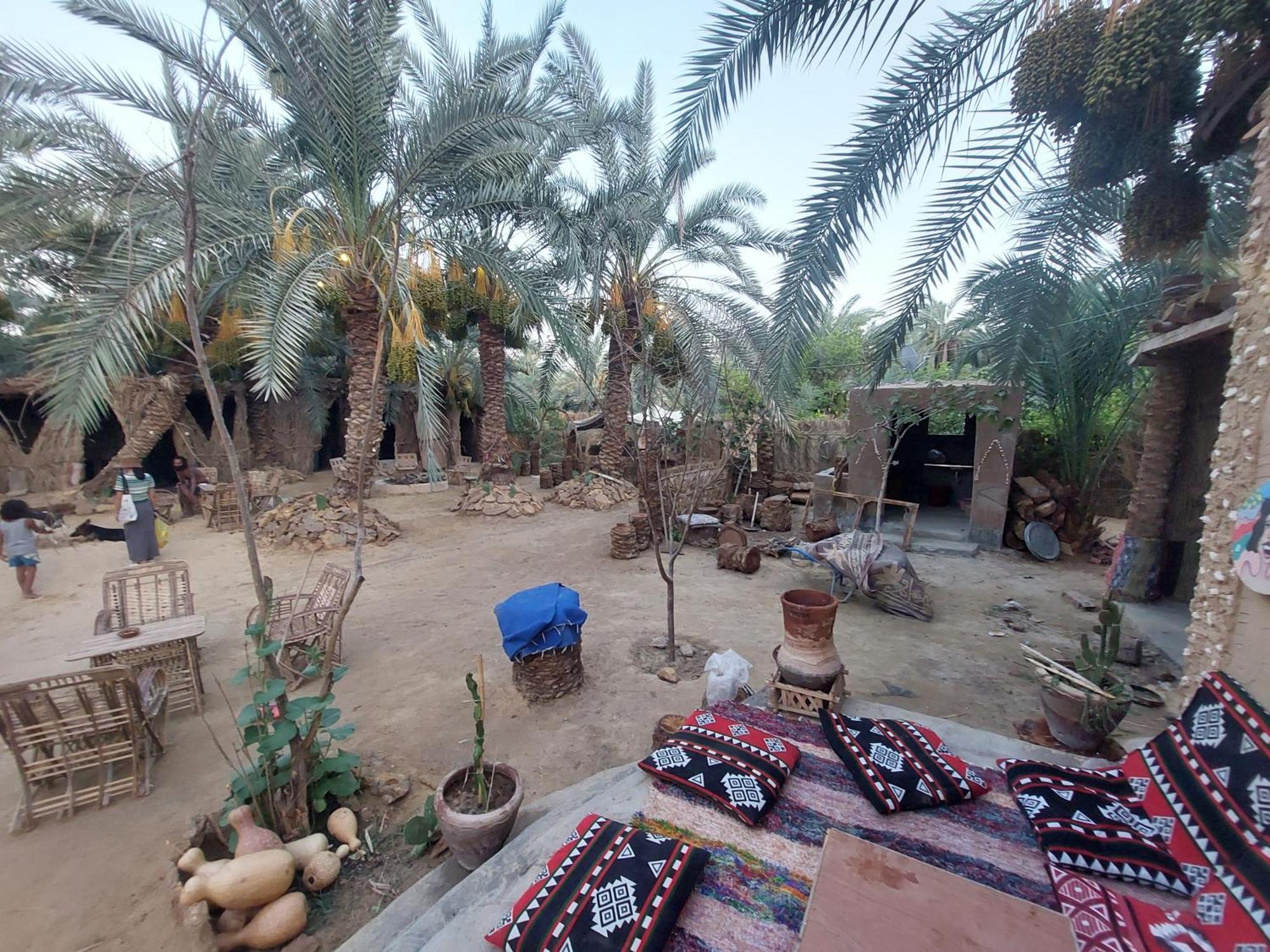 Forest Camp Siwa - كامب الغابة Siwa Oasis Exteriér fotografie