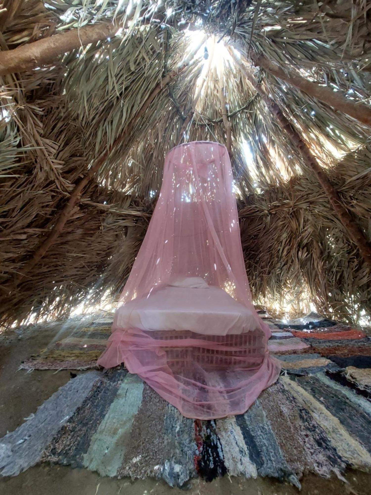 Forest Camp Siwa - كامب الغابة Siwa Oasis Exteriér fotografie