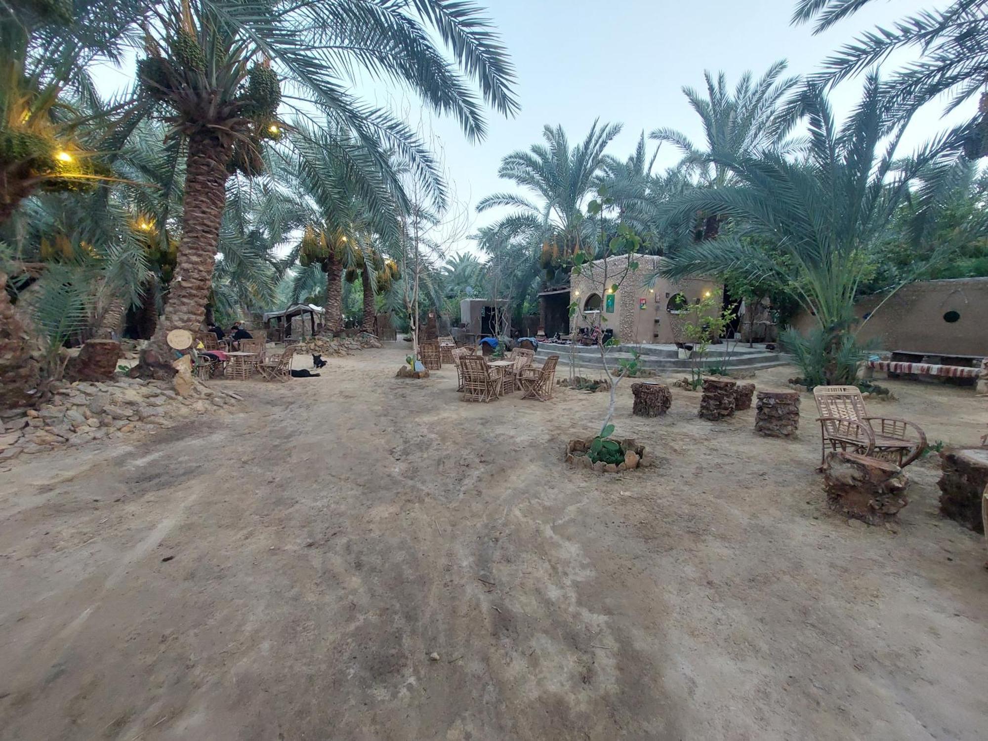 Forest Camp Siwa - كامب الغابة Siwa Oasis Exteriér fotografie