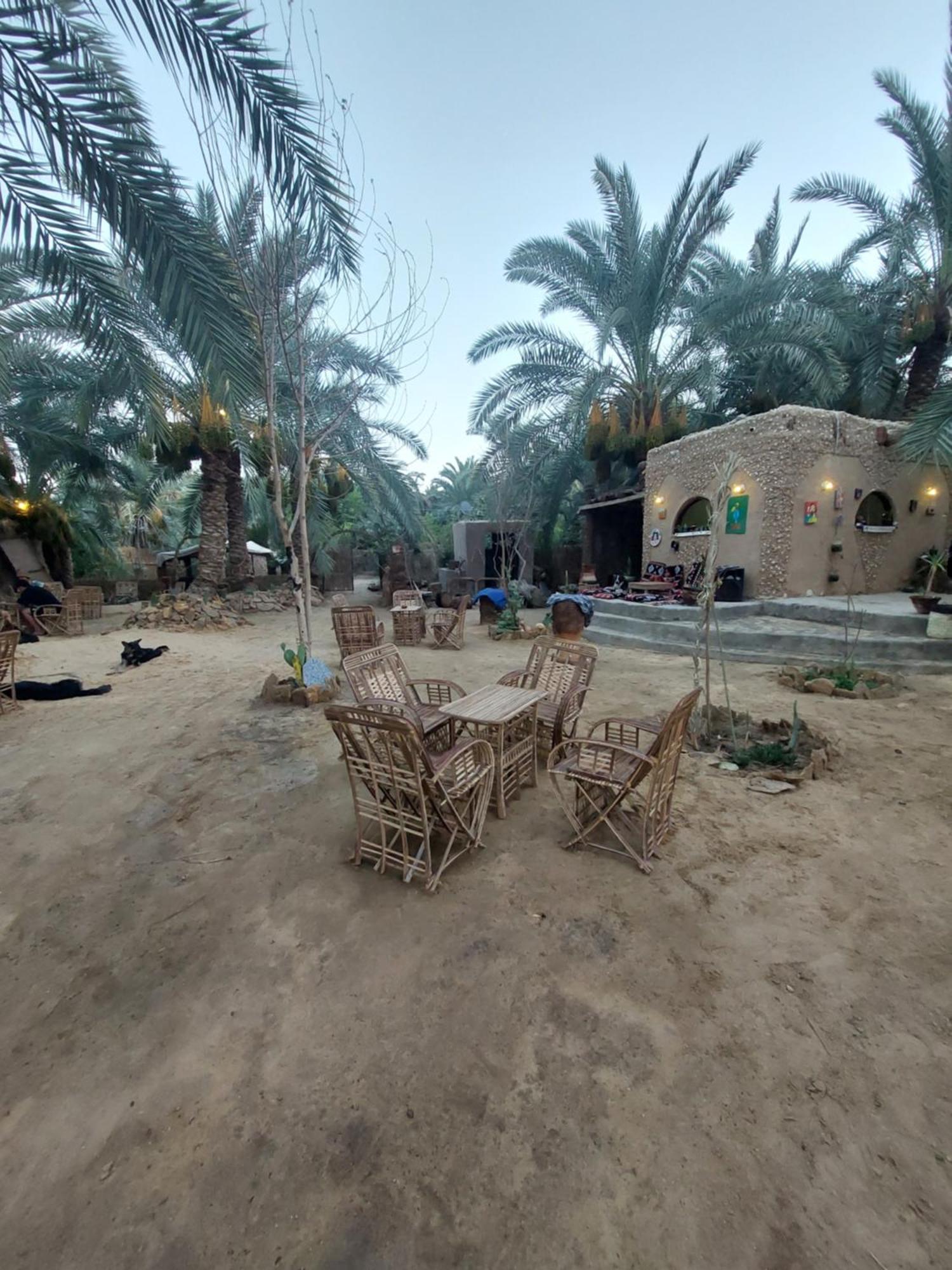 Forest Camp Siwa - كامب الغابة Siwa Oasis Exteriér fotografie