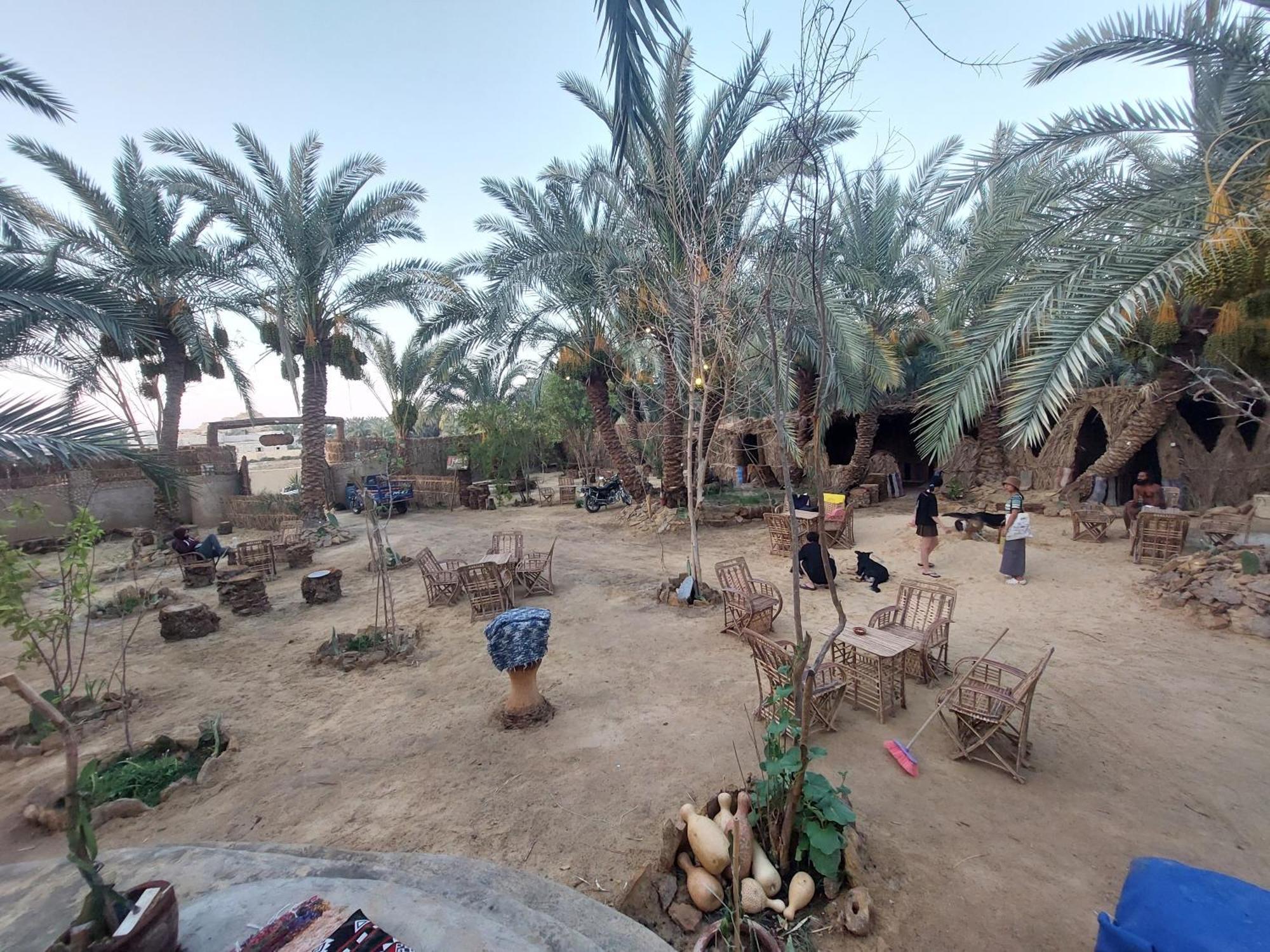Forest Camp Siwa - كامب الغابة Siwa Oasis Exteriér fotografie