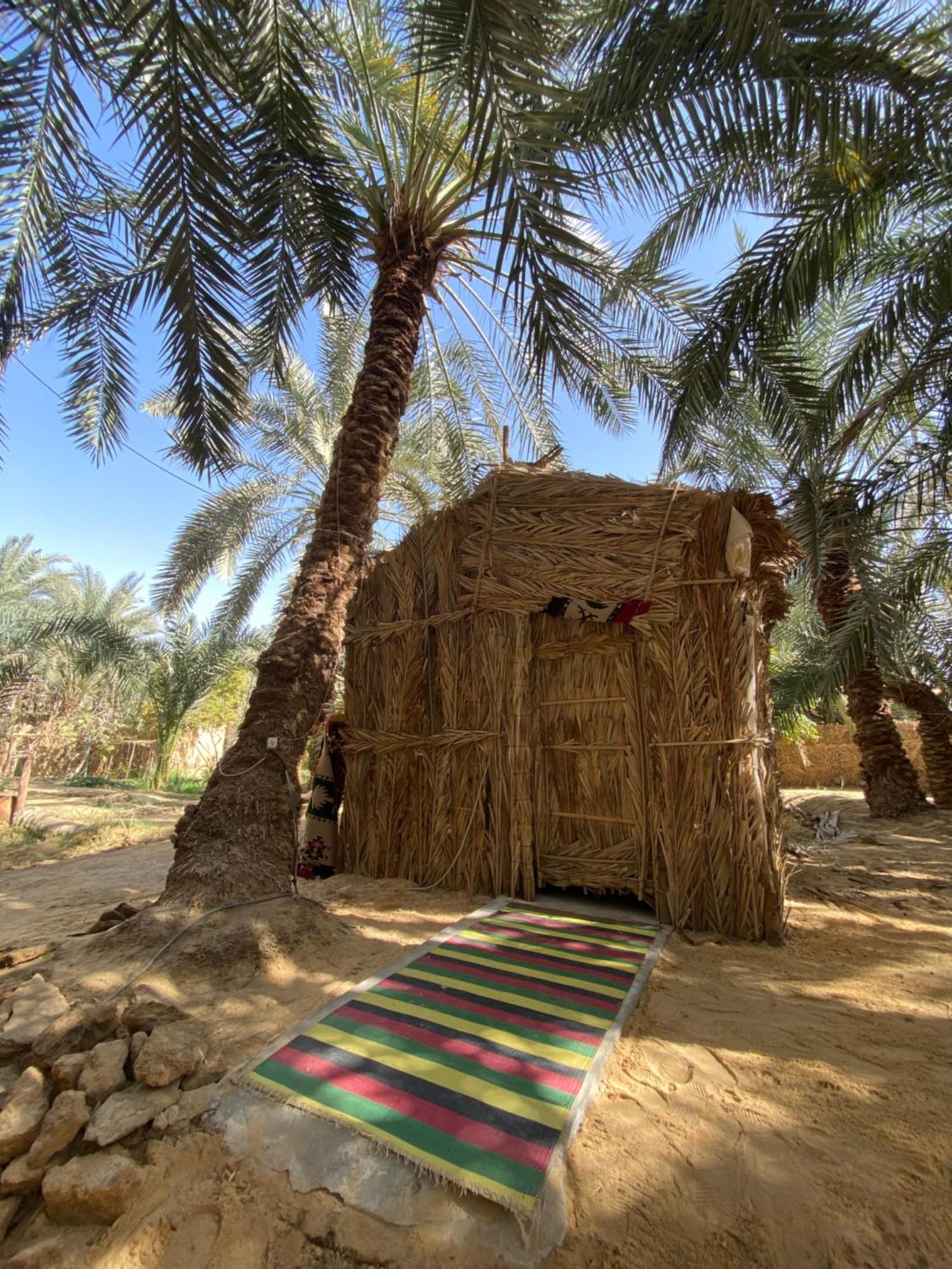 Forest Camp Siwa - كامب الغابة Siwa Oasis Exteriér fotografie