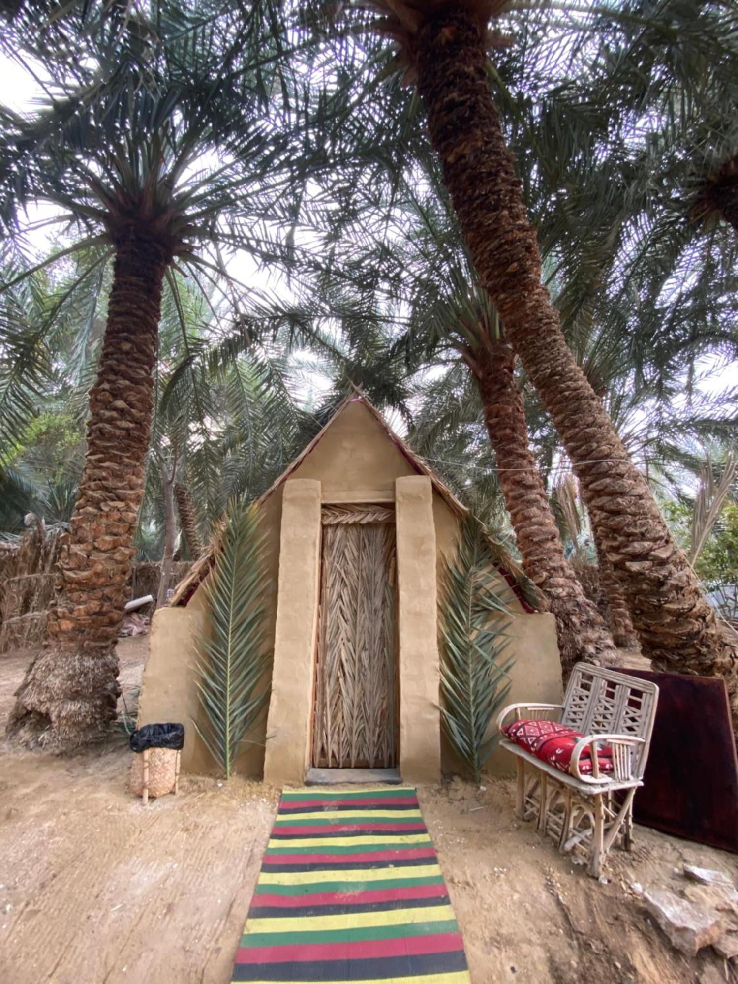 Forest Camp Siwa - كامب الغابة Siwa Oasis Exteriér fotografie
