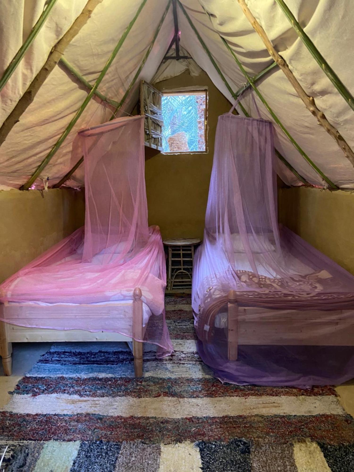 Forest Camp Siwa - كامب الغابة Siwa Oasis Exteriér fotografie