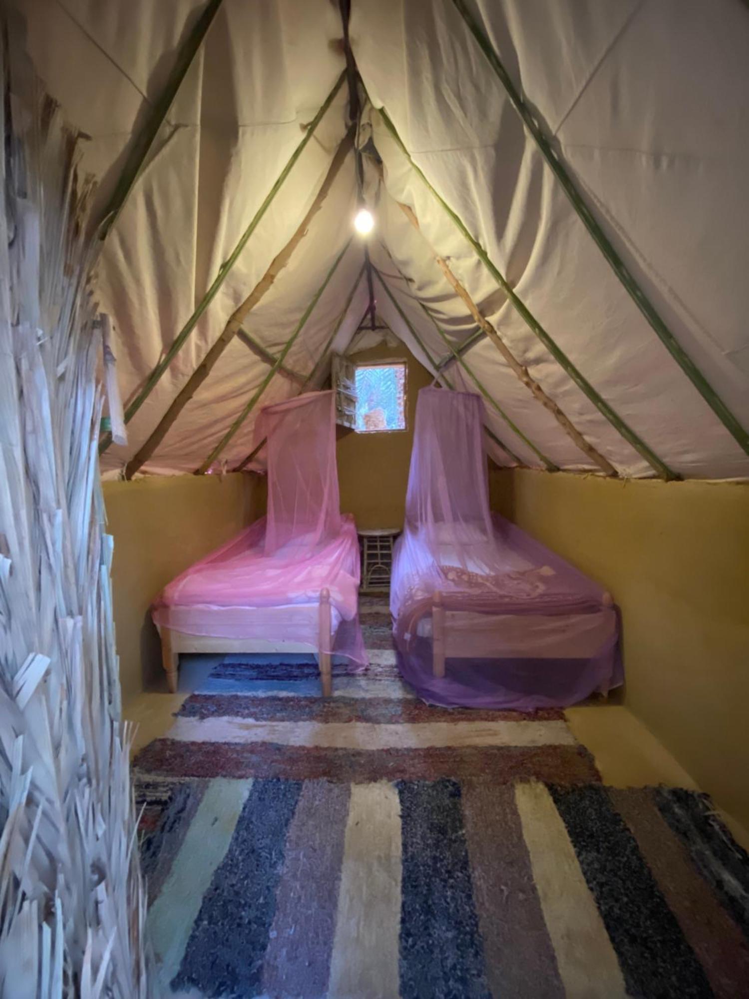 Forest Camp Siwa - كامب الغابة Siwa Oasis Exteriér fotografie