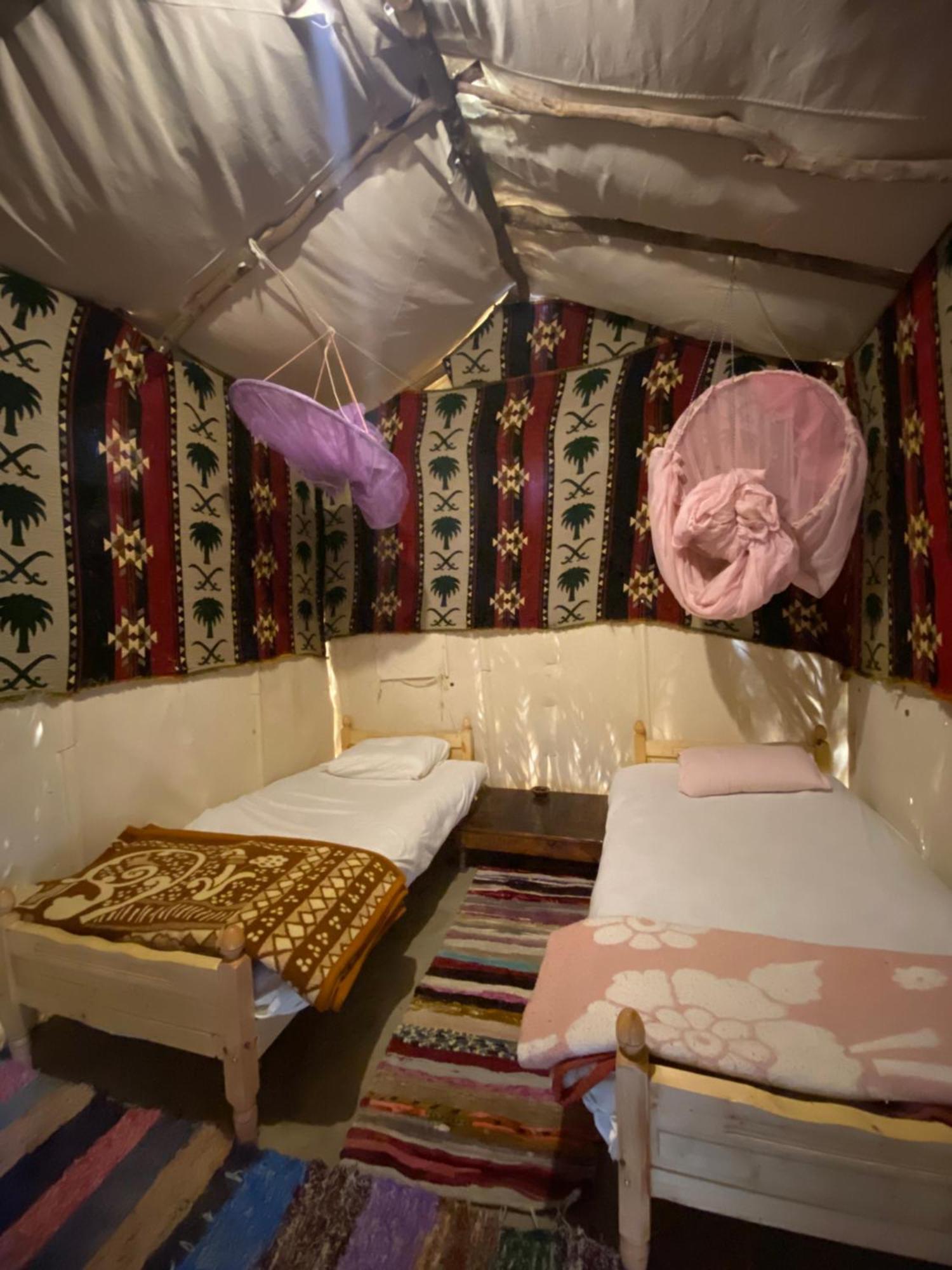 Forest Camp Siwa - كامب الغابة Siwa Oasis Exteriér fotografie