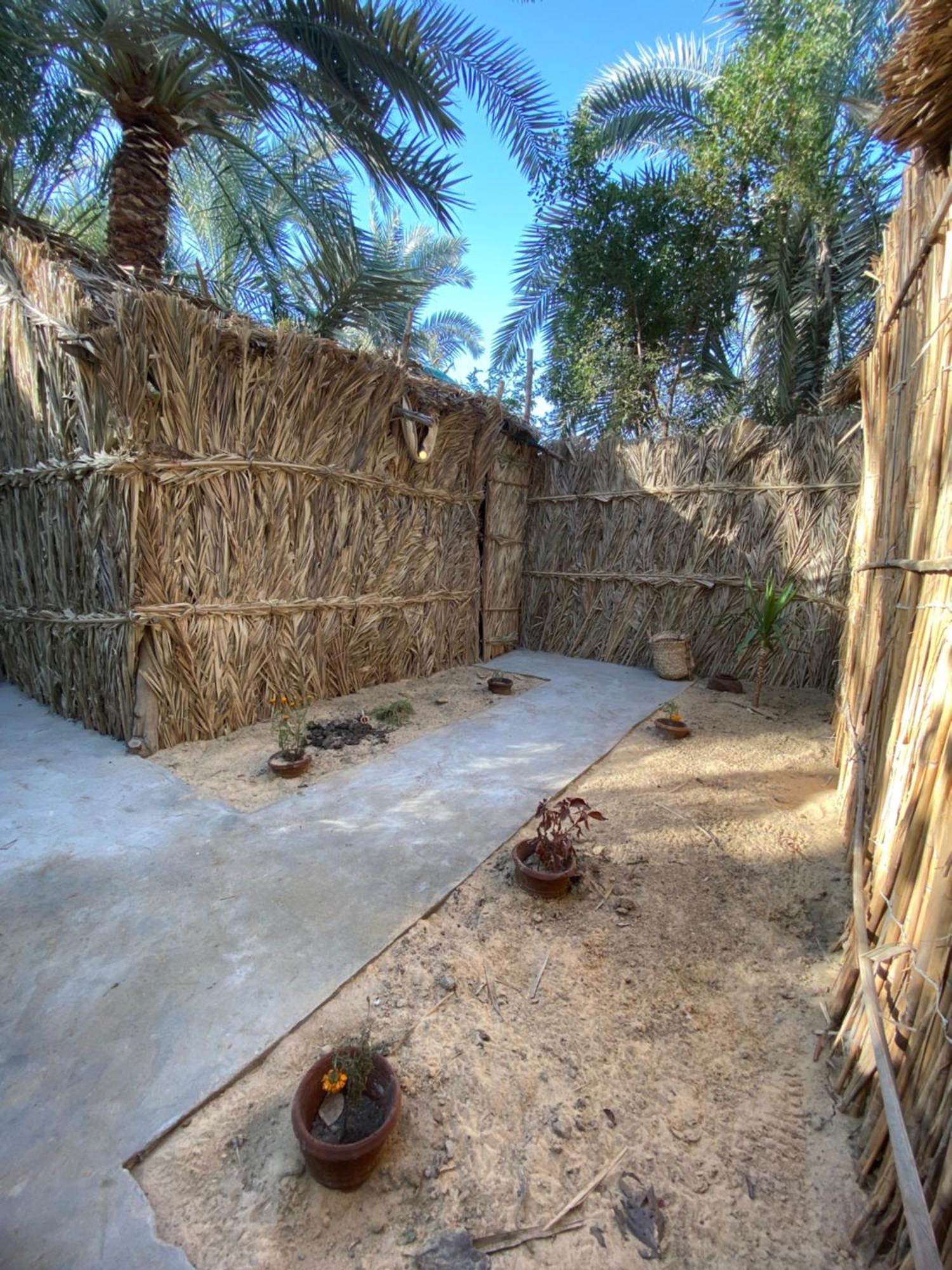 Forest Camp Siwa - كامب الغابة Siwa Oasis Exteriér fotografie