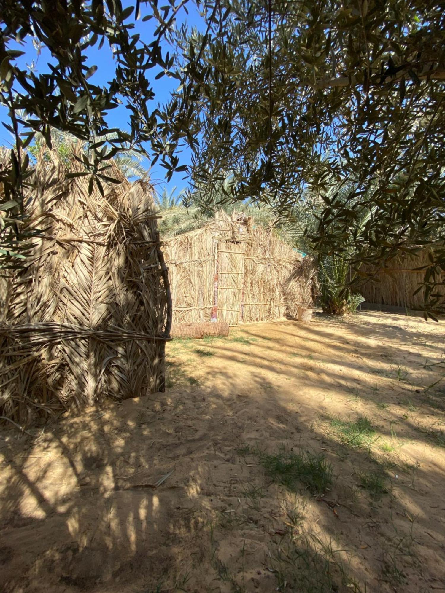 Forest Camp Siwa - كامب الغابة Siwa Oasis Exteriér fotografie