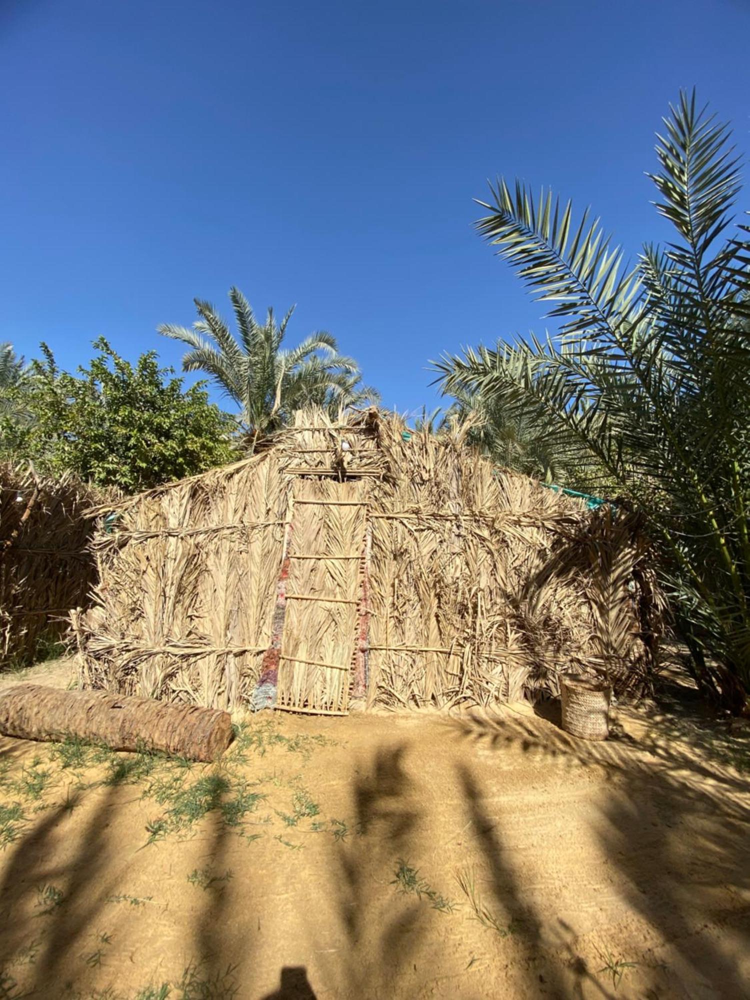 Forest Camp Siwa - كامب الغابة Siwa Oasis Exteriér fotografie