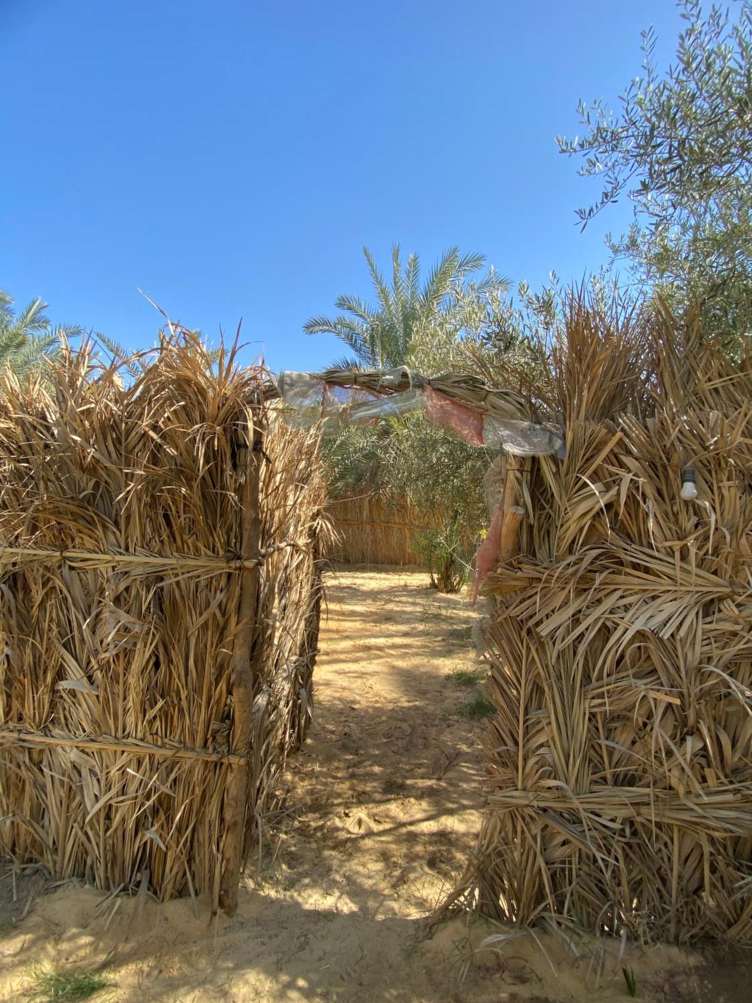 Forest Camp Siwa - كامب الغابة Siwa Oasis Exteriér fotografie