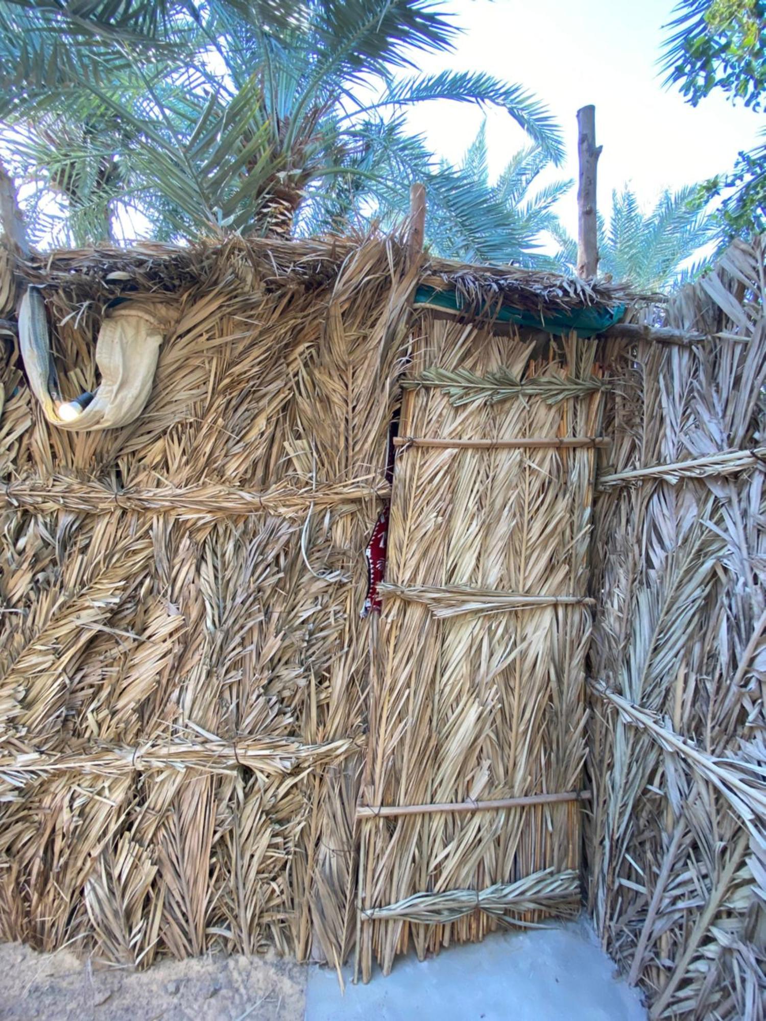 Forest Camp Siwa - كامب الغابة Siwa Oasis Exteriér fotografie