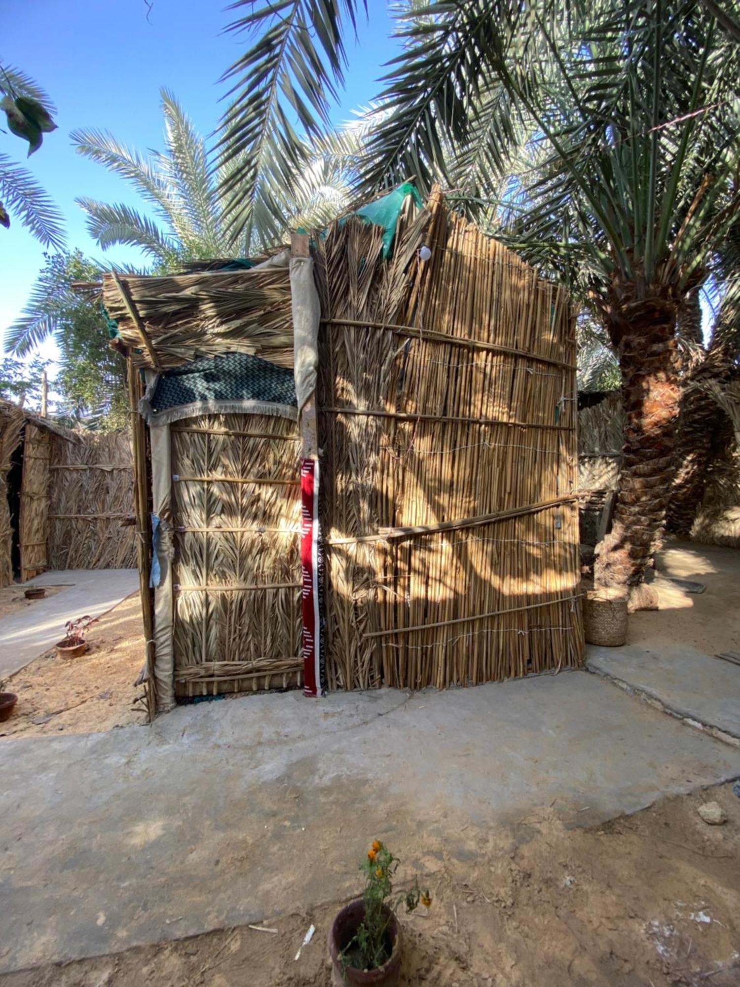 Forest Camp Siwa - كامب الغابة Siwa Oasis Exteriér fotografie